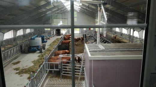 HALL 26,6 X 51,44 X 3,5 M